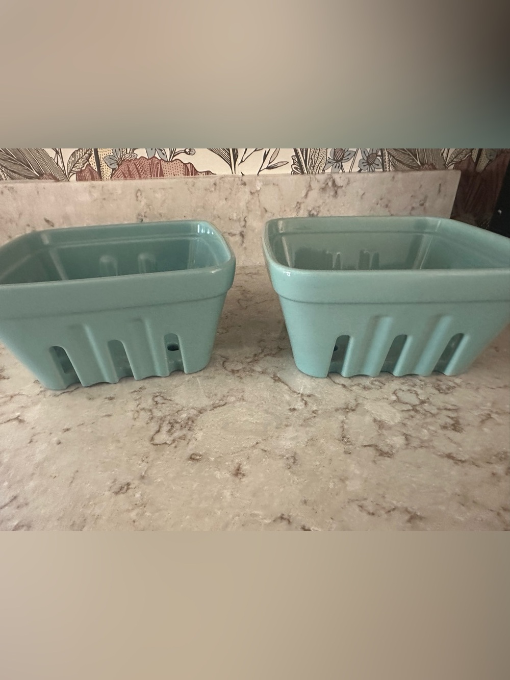 Aqua Ceramic Berry Set - 2-Pack